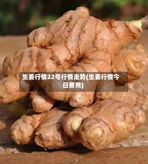 生姜行情22号行情走势(生姜行情今日费用)