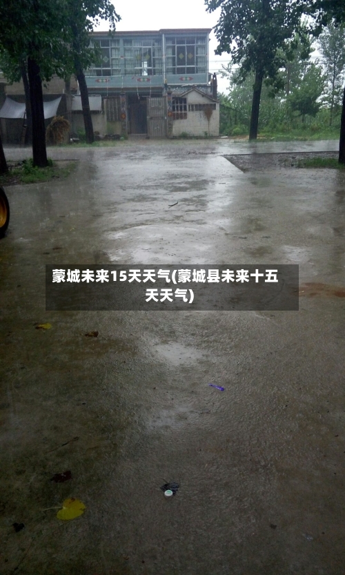 蒙城未来15天天气(蒙城县未来十五天天气)