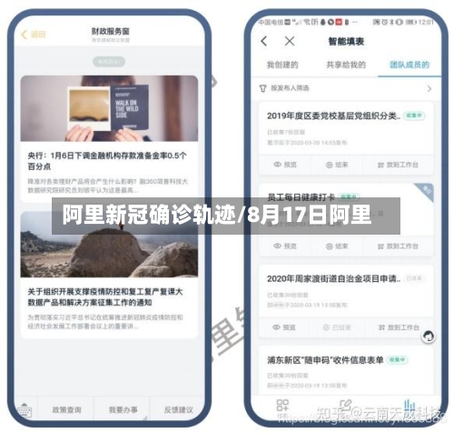 阿里新冠确诊轨迹/8月17日阿里