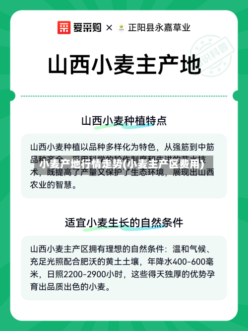小麦产地行情走势(小麦主产区费用)