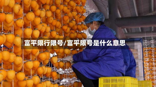 富平限行限号/富平限号是什么意思