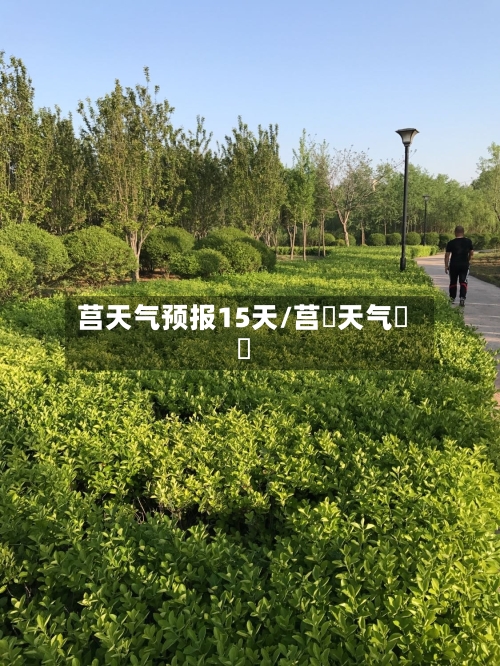 莒天气预报15天/莒縣天气預報