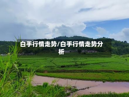 白手行情走势/白手行情走势分析