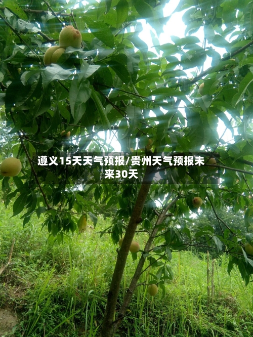 遵义15天天气预报/贵州天气预报未来30天