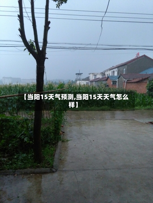 【当阳15天气预测,当阳15天天气怎么样】