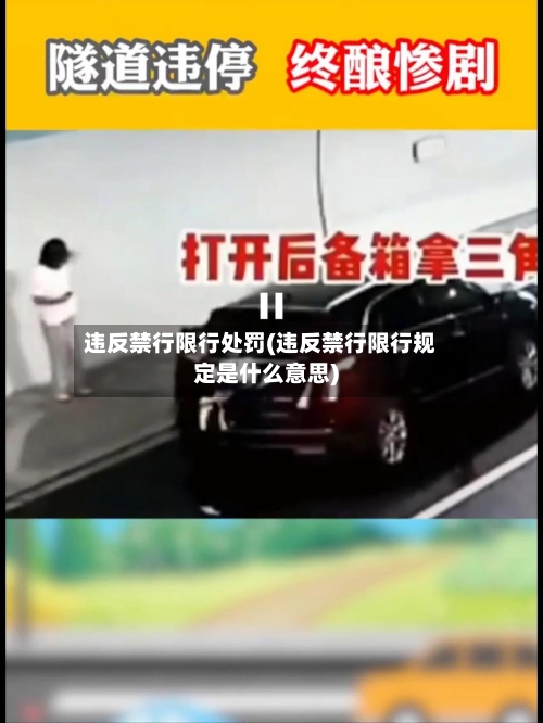 违反禁行限行处罚(违反禁行限行规定是什么意思)