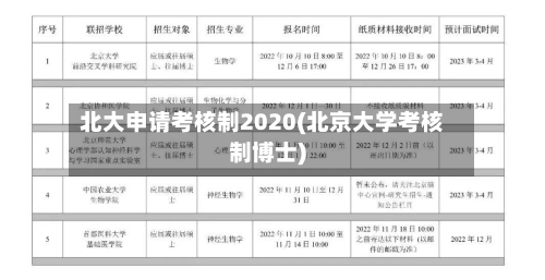 北大申请考核制2020(北京大学考核制博士)