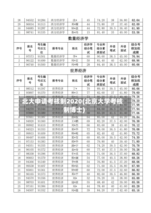 北大申请考核制2020(北京大学考核制博士)
