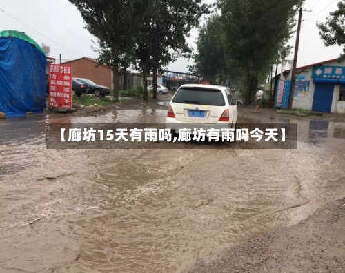 【廊坊15天有雨吗,廊坊有雨吗今天】