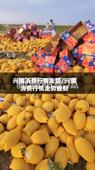 兴隆消费行情走势/兴隆消费行情走势最新