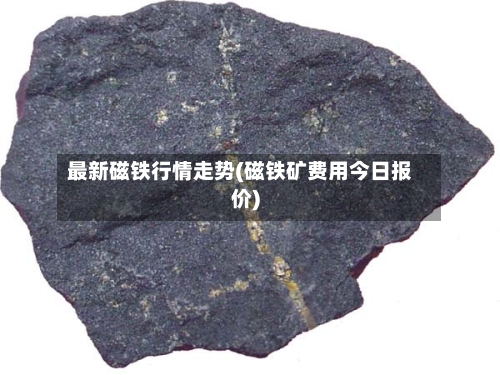 最新磁铁行情走势(磁铁矿费用今日报价)