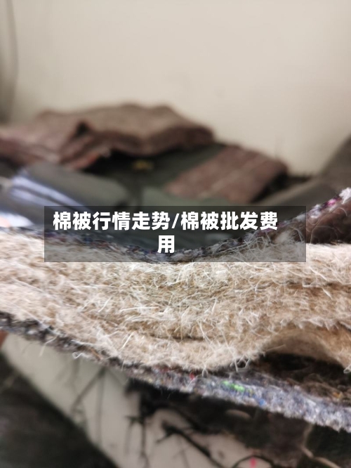 棉被行情走势/棉被批发费用