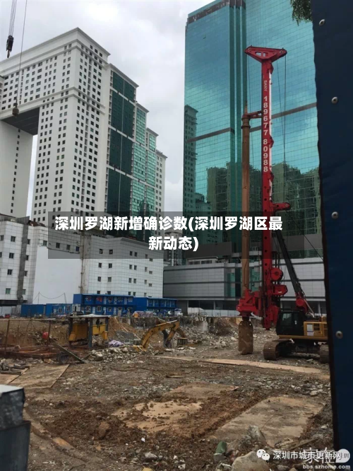 深圳罗湖新增确诊数(深圳罗湖区最新动态)