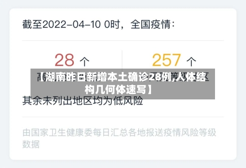 【湖南昨日新增本土确诊28例,人体结构几何体速写】