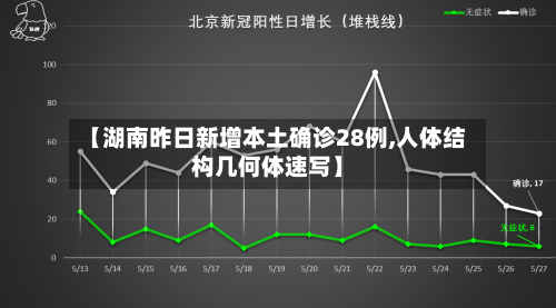 【湖南昨日新增本土确诊28例,人体结构几何体速写】