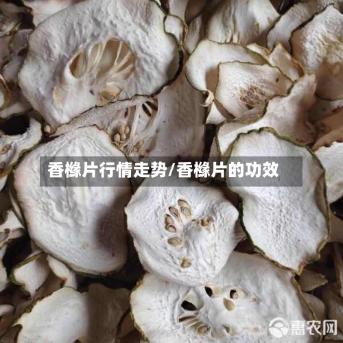 香橼片行情走势/香橼片的功效