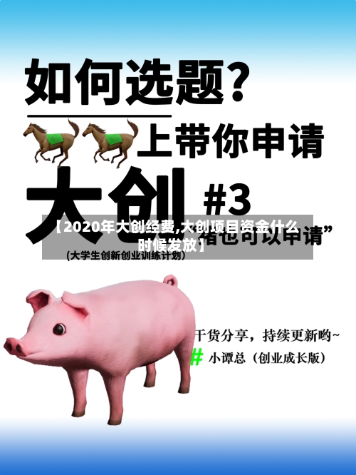 【2020年大创经费,大创项目资金什么时候发放】