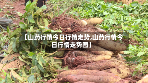 【山药行情今日行情走势,山药行情今日行情走势图】