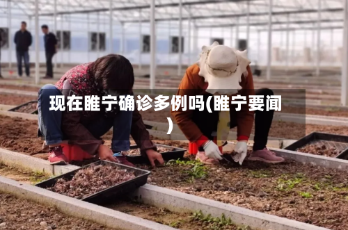 现在睢宁确诊多例吗(睢宁要闻)