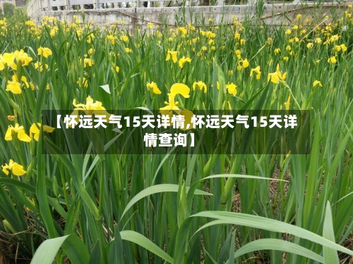 【怀远天气15天详情,怀远天气15天详情查询】