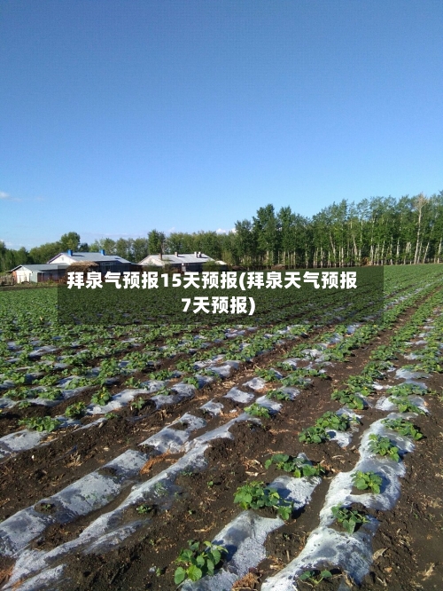 拜泉气预报15天预报(拜泉天气预报7天预报)