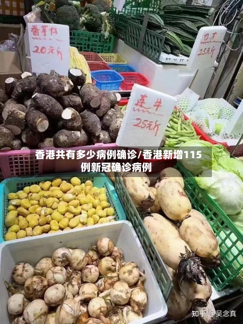 香港共有多少病例确诊/香港新增115例新冠确诊病例