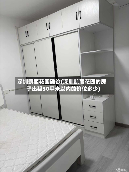 深圳凯丽花园确诊(深圳凯丽花园的房子出租30平米以内的价位多少)