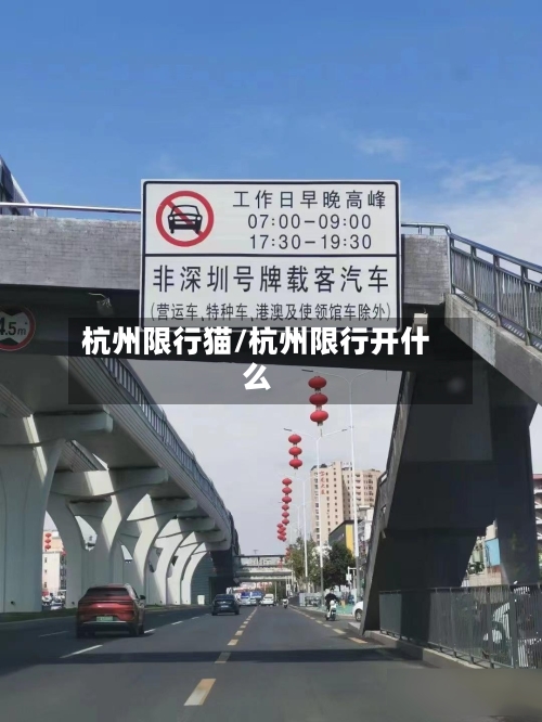 杭州限行猫/杭州限行开什么