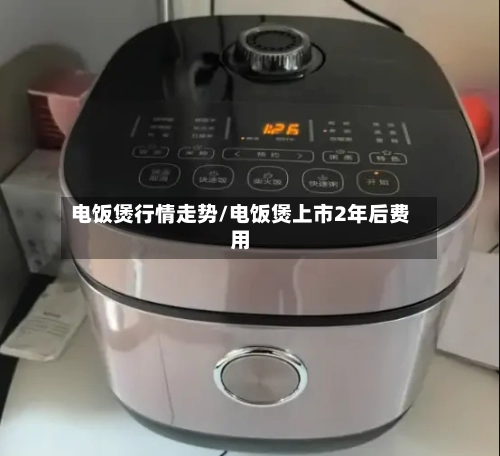 电饭煲行情走势/电饭煲上市2年后费用