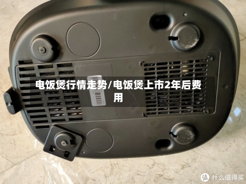 电饭煲行情走势/电饭煲上市2年后费用