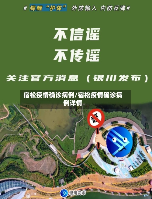 宿松疫情确诊病例/宿松疫情确诊病例详情