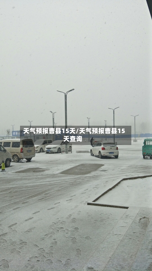 天气预报曹县15天/天气预报曹县15天查询