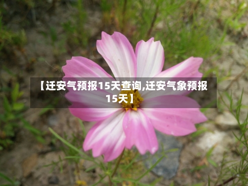 【迁安气预报15天查询,迁安气象预报15天】