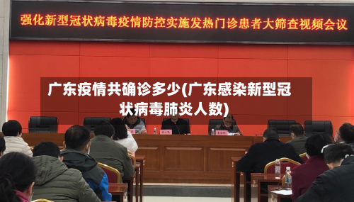 广东疫情共确诊多少(广东感染新型冠状病毒肺炎人数)