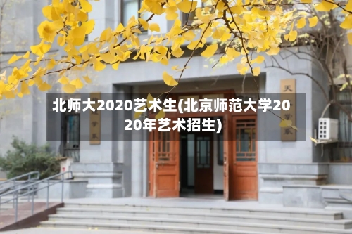 北师大2020艺术生(北京师范大学2020年艺术招生)