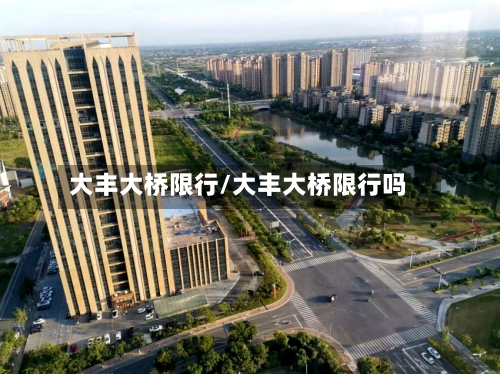 大丰大桥限行/大丰大桥限行吗