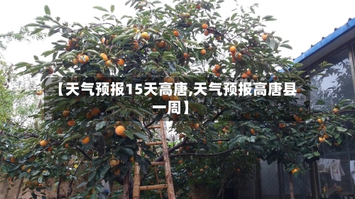【天气预报15天高唐,天气预报高唐县一周】