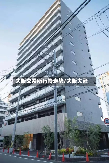大阪交易所行情走势/大阪大涨