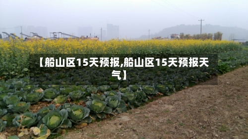 【船山区15天预报,船山区15天预报天气】