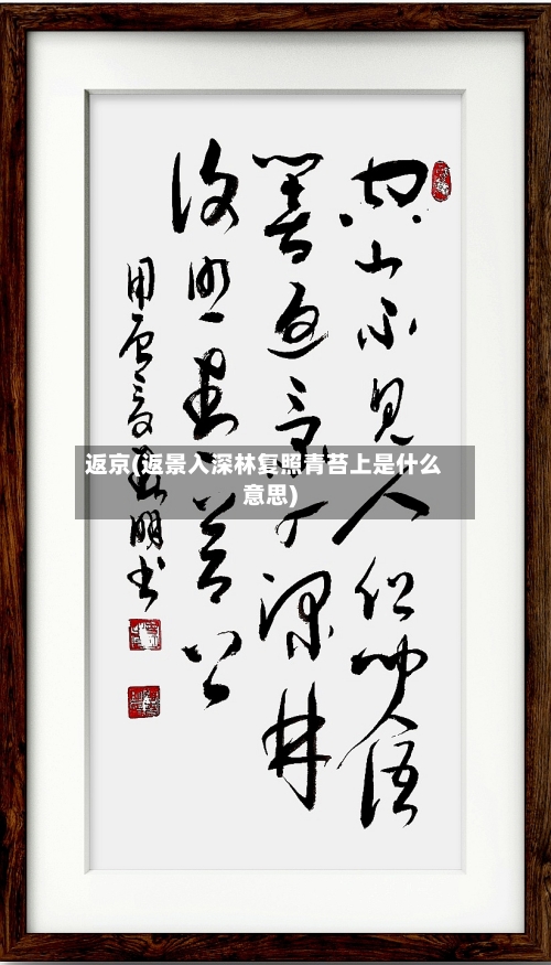 返京(返景入深林复照青苔上是什么意思)