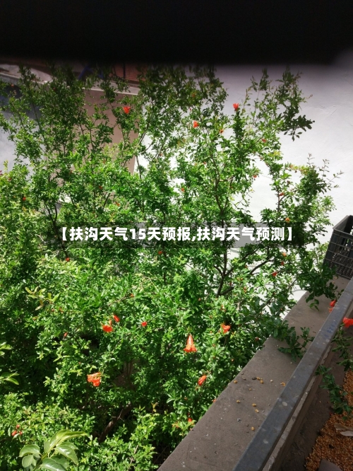 【扶沟天气15天预报,扶沟天气预测】