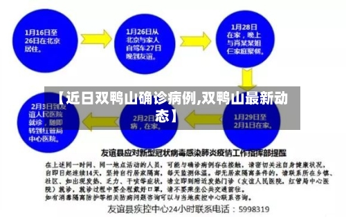 【近日双鸭山确诊病例,双鸭山最新动态】