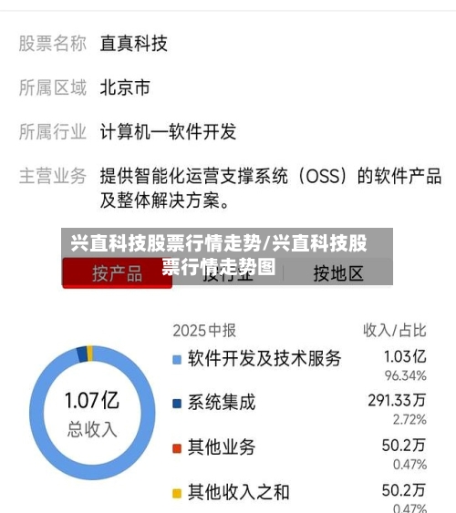 兴直科技股票行情走势/兴直科技股票行情走势图