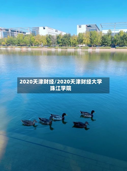 2020天津财经/2020天津财经大学珠江学院