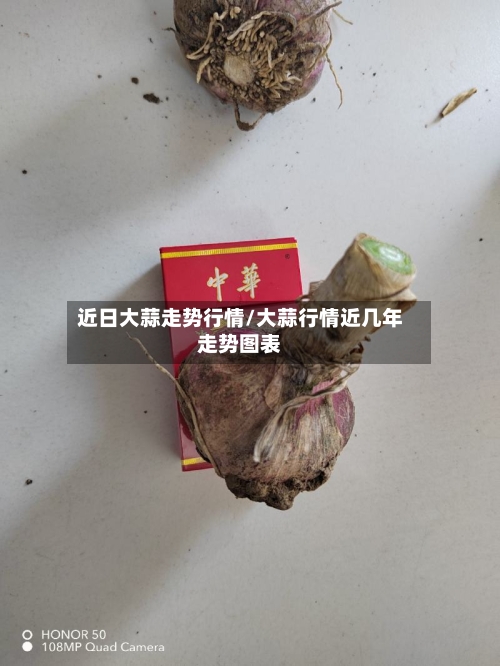 近日大蒜走势行情/大蒜行情近几年走势图表