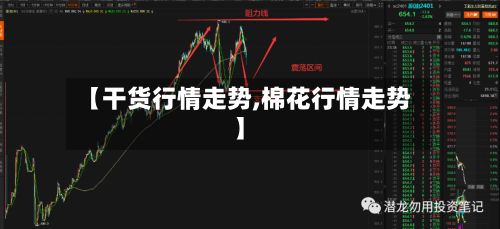 【干货行情走势,棉花行情走势】