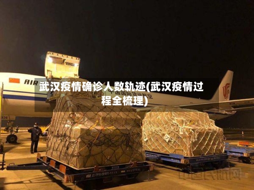武汉疫情确诊人数轨迹(武汉疫情过程全梳理)
