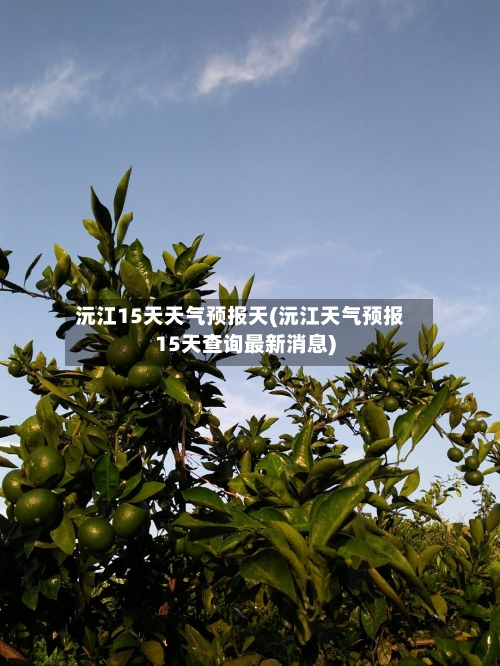 沅江15天天气预报天(沅江天气预报15天查询最新消息)