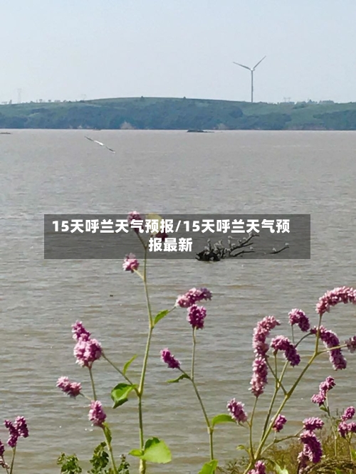 15天呼兰天气预报/15天呼兰天气预报最新