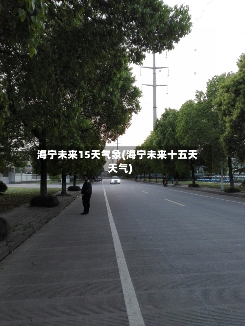 海宁未来15天气象(海宁未来十五天天气)